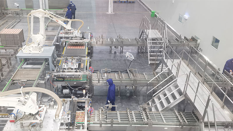 Automatic Packing Line