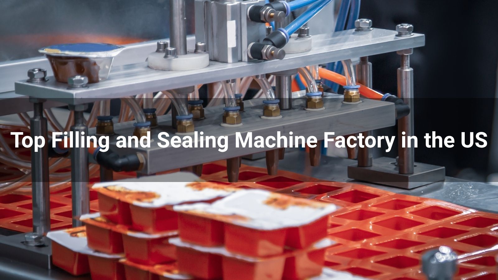 Top 8 Filling and Sealing Machine Factory in the USA 2026